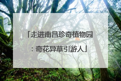 走进南昌珍奇植物园：奇花异草引游人