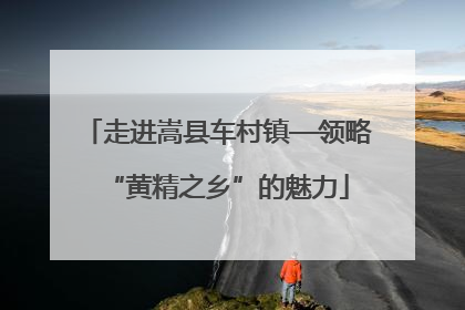 走进嵩县车村镇—领略“黄精之乡”的魅力