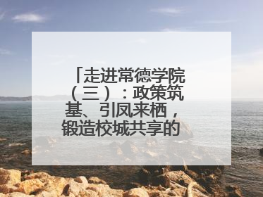 走进常德学院（三）：政策筑基、引凤来栖，锻造校城共享的“双师铁军”