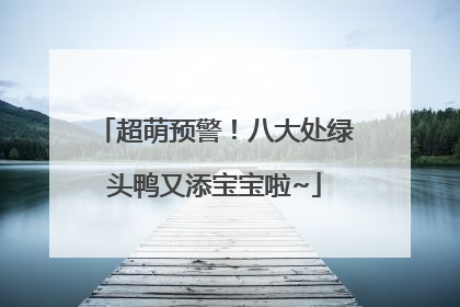 超萌预警！八大处绿头鸭又添宝宝啦~