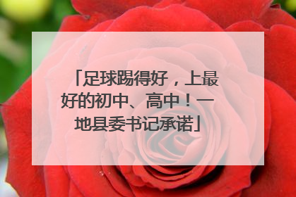 足球踢得好，上最好的初中、高中！一地县委书记承诺