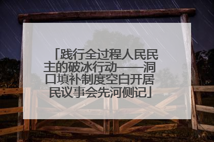践行全过程人民民主的破冰行动——洞口填补制度空白开居民议事会先河侧记