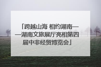 跨越山海 相约湖南——湖南文旅展厅亮相第四届中非经贸博览会
