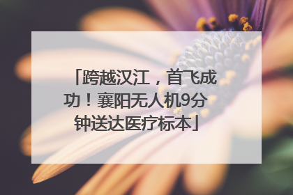 跨越汉江，首飞成功！襄阳无人机9分钟送达医疗标本