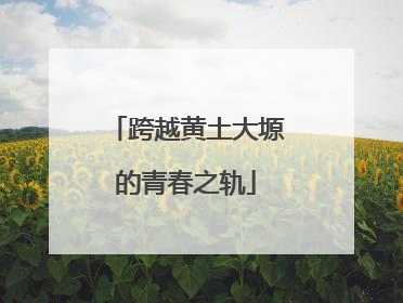 跨越黄土大塬的青春之轨