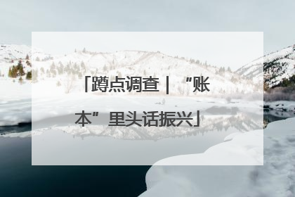 蹲点调查｜“账本”里头话振兴