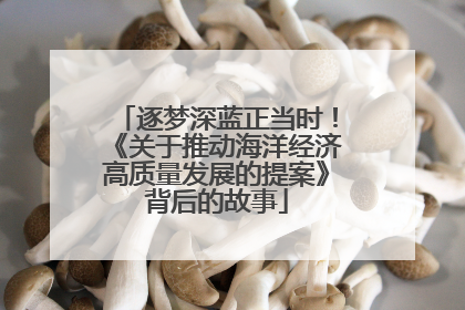 逐梦深蓝正当时！《关于推动海洋经济高质量发展的提案》背后的故事