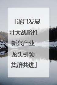 遂昌发展壮大战略性新兴产业 龙头引领 集群共进