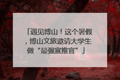 遇见博山！这个暑假，博山文旅邀请大学生做“最强宣推官”