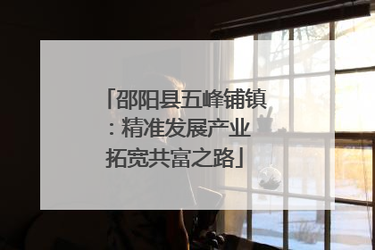 邵阳县五峰铺镇：精准发展产业 拓宽共富之路