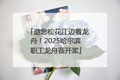 邀您松花江边看龙舟！2025哈尔滨职工龙舟赛开桨