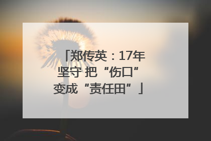 郑传英：17年坚守 把“伤口”变成“责任田”