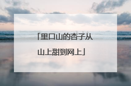 里口山的杏子从山上甜到网上