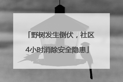 野树发生倒伏，社区4小时消除安全隐患