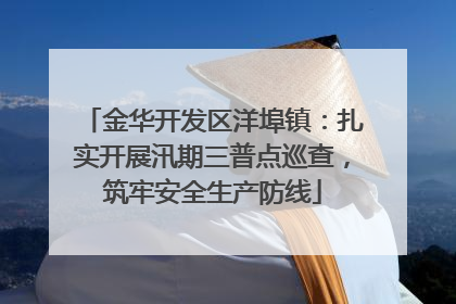 金华开发区洋埠镇：扎实开展汛期三普点巡查，筑牢安全生产防线
