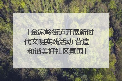 金家岭街道开展新时代文明实践活动 营造和谐美好社区氛围