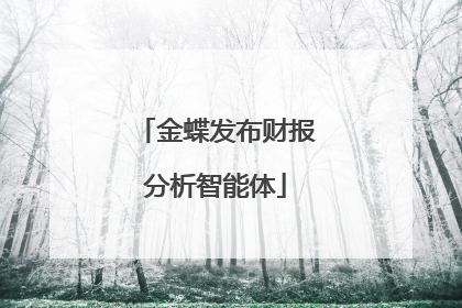 金蝶发布财报分析智能体