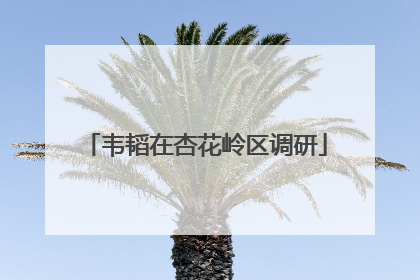 韦韬在杏花岭区调研