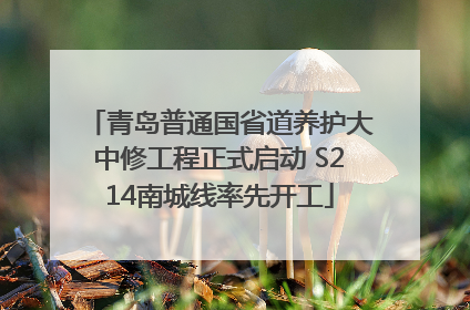 青岛普通国省道养护大中修工程正式启动 S214南城线率先开工