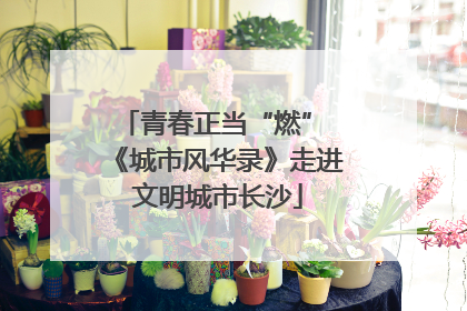 青春正当“燃” 《城市风华录》走进文明城市长沙
