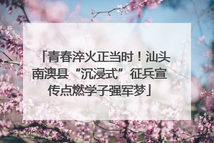 青春淬火正当时！汕头南澳县“沉浸式”征兵宣传点燃学子强军梦
