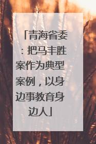 青海省委：把马丰胜案作为典型案例，以身边事教育身边人