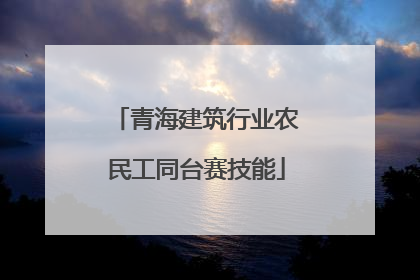 青海建筑行业农民工同台赛技能