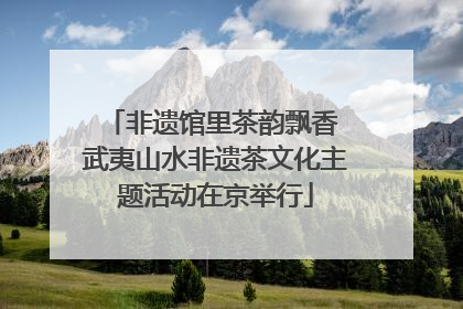 非遗馆里茶韵飘香 武夷山水非遗茶文化主题活动在京举行