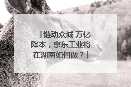 链动众城 万亿降本，京东工业将在湖南如何做？