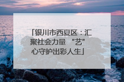 银川市西夏区：汇聚社会力量 “艺”心守护出彩人生