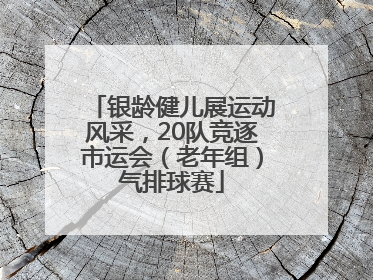 银龄健儿展运动风采，20队竞逐市运会（老年组）气排球赛