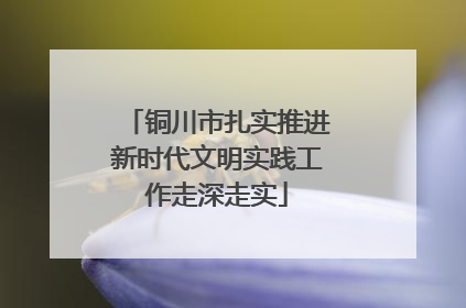 铜川市扎实推进新时代文明实践工作走深走实