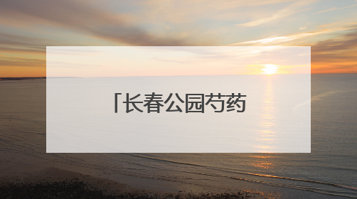 长春公园芍药迎来盛花期！