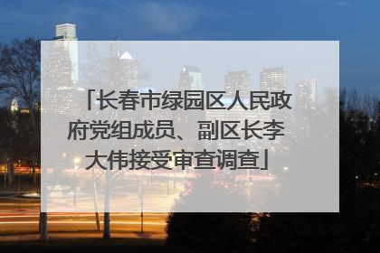 长春市绿园区人民政府党组成员、副区长李大伟接受审查调查