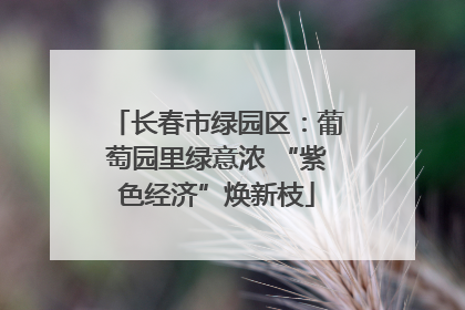 长春市绿园区：葡萄园里绿意浓 “紫色经济”焕新枝
