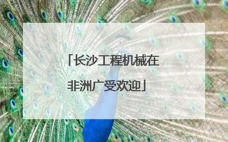 长沙工程机械在非洲广受欢迎