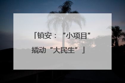 镇安：“小项目”撬动“大民生”