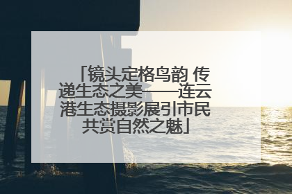 镜头定格鸟韵 传递生态之美——连云港生态摄影展引市民共赏自然之魅