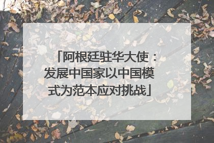 阿根廷驻华大使：发展中国家以中国模式为范本应对挑战