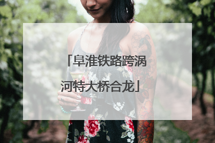 阜淮铁路跨涡河特大桥合龙