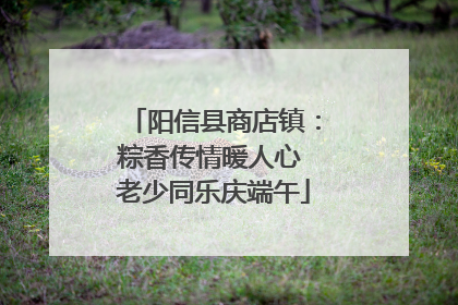 阳信县商店镇：粽香传情暖人心 老少同乐庆端午