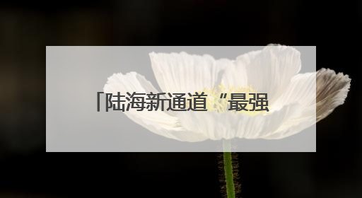陆海新通道“最强大脑” 带动国际货运由“智”到“质”高质量发展