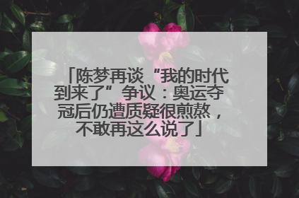 陈梦再谈“我的时代到来了”争议：奥运夺冠后仍遭质疑很煎熬，不敢再这么说了
