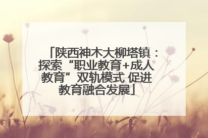 陕西神木大柳塔镇：探索“职业教育+成人教育”双轨模式 促进教育融合发展