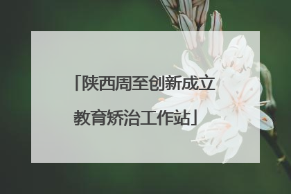 陕西周至创新成立教育矫治工作站