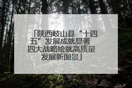 陕西岐山县“十四五”发展成就显著 四大战略绘就高质量发展新图景