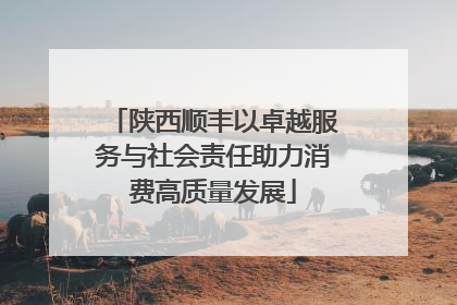 陕西顺丰以卓越服务与社会责任助力消费高质量发展