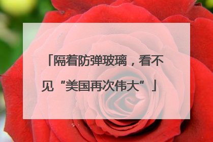 隔着防弹玻璃，看不见“美国再次伟大”