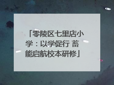 零陵区七里店小学：以学促行 蓄能启航校本研修
