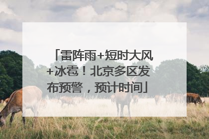 雷阵雨+短时大风+冰雹！北京多区发布预警，预计时间